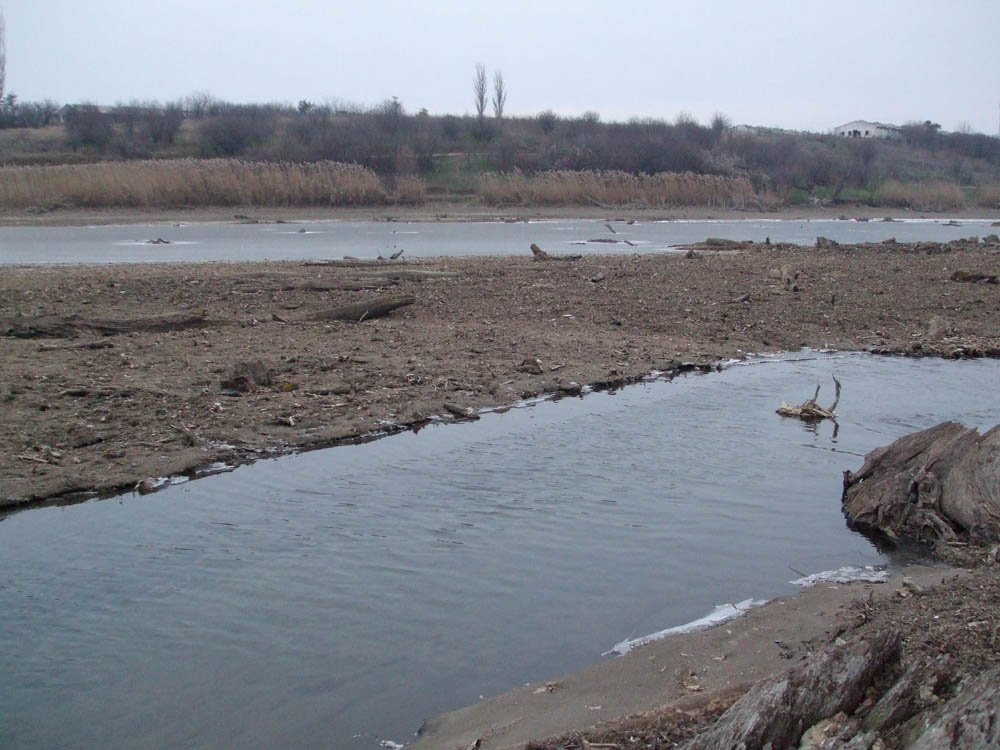 TANCABESTI SECAT - DSCF3466.jpg